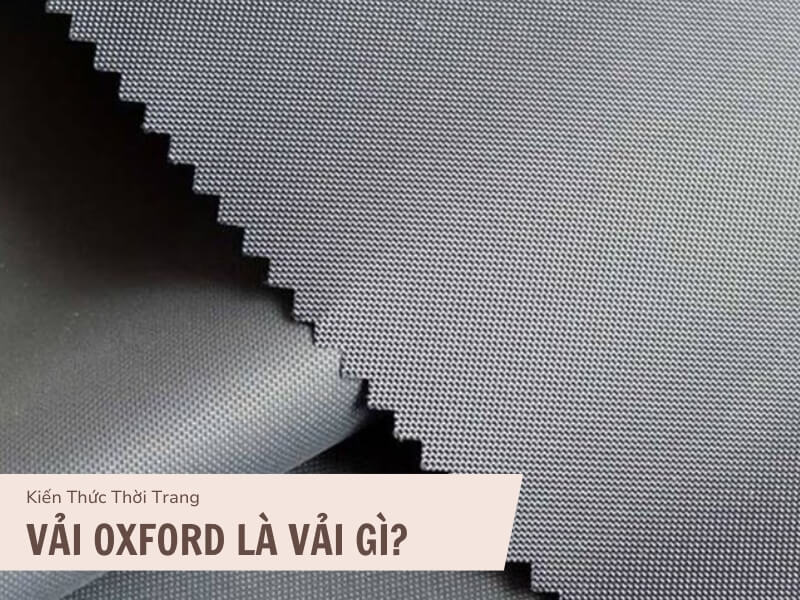 Vải Oxford Là Gì? Tìm Hiểu Từ A-Z Về Vải Oxford 1 Vải oxford là gì?