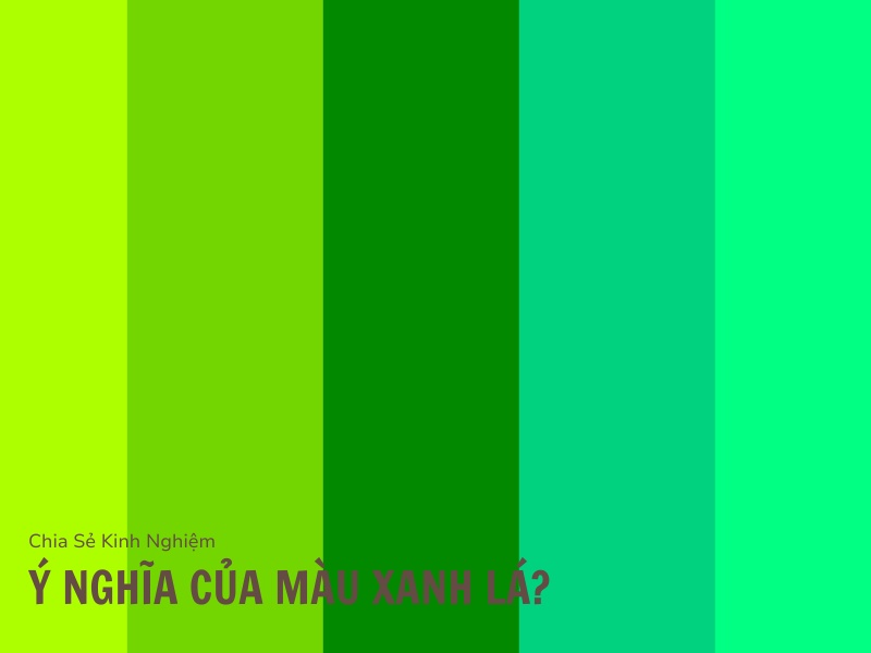 Xanh Lá Phối Với Màu Gì Để Nổi Bật Và Tinh Tế 3 Ý nghĩa của màu xanh lá