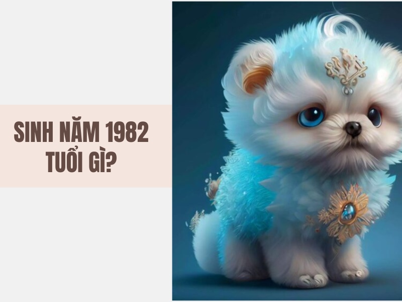 Tuổi Nhâm Tuất 1982 Mệnh Gì? Hợp Với Tuổi Gì, Hợp Màu Gì? 3 1982 tuổi gì?