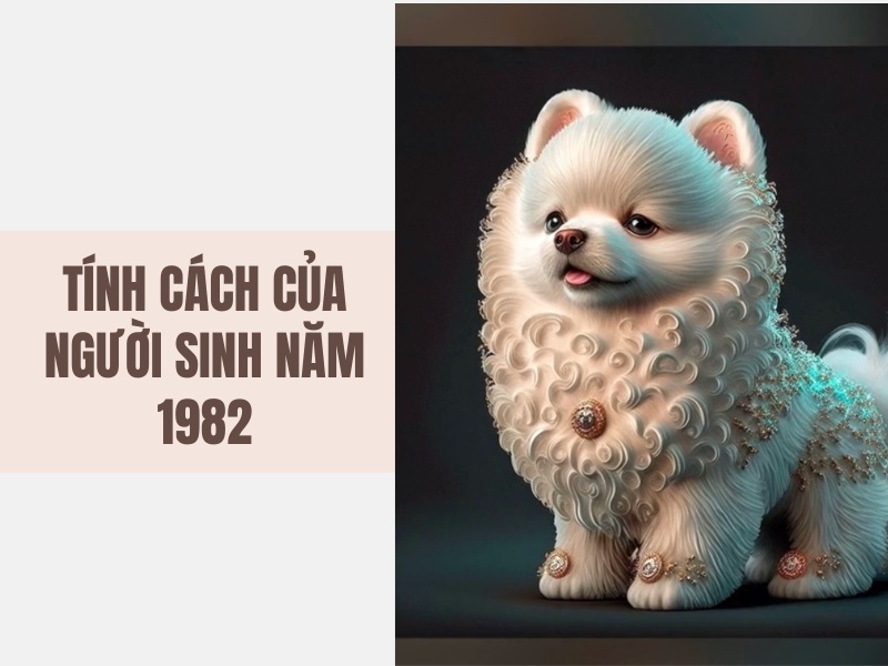 Tuổi Nhâm Tuất 1982 Mệnh Gì? Hợp Với Tuổi Gì, Hợp Màu Gì? 4 Tính cách của người sinh năm 1982