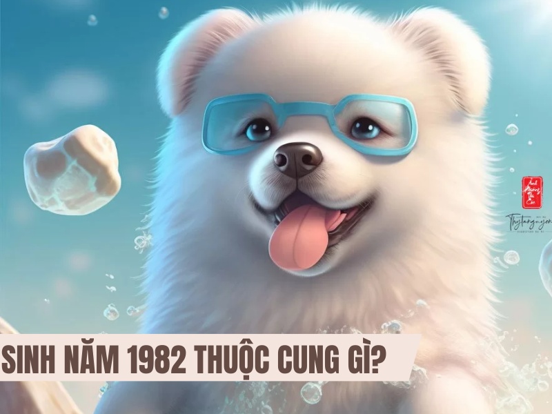 Tuổi Nhâm Tuất 1982 Mệnh Gì? Hợp Với Tuổi Gì, Hợp Màu Gì? 5 Sinh năm 1982 thuộc cung gì?
