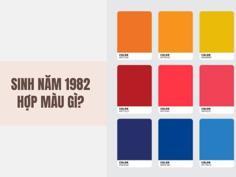 Tuổi Nhâm Tuất 1982 Mệnh Gì? Hợp Với Tuổi Gì, Hợp Màu Gì? 6 Sinh năm 1982 hợp màu gì?