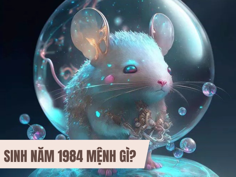 Tuổi Giáp Tý 1984 Mệnh Gì? Hợp Với Tuổi Gì, Hợp Màu Gì? 3 1984 mệnh gì