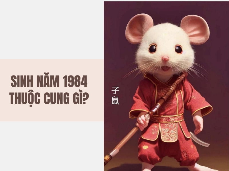 Tuổi Giáp Tý 1984 Mệnh Gì? Hợp Với Tuổi Gì, Hợp Màu Gì? 6 1984 thuộc cung gì