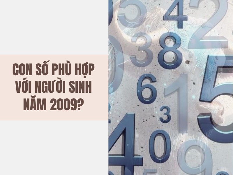 Tuổi Kỷ Sửu 2009 Mệnh Gì? Hợp Với Tuổi Nào, Hợp Màu Nào? 7 Con số phù hợp với người sinh năm 2009