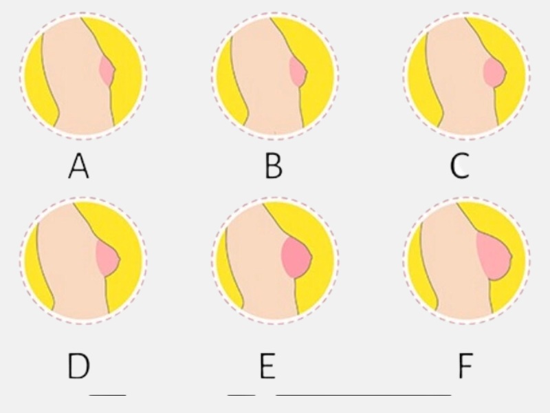 Cup Ngực ABC Là Gì? Hướng Dẫn Chọn Size Phù Hợp Cho Bạn 5 Phân loại các size cup áo ngực