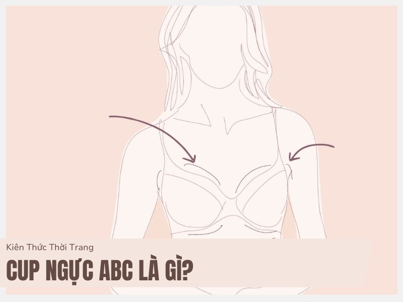 Cup Ngực ABC Là Gì? Hướng Dẫn Chọn Size Phù Hợp Cho Bạn 1 Cup ngưc ABC là gì?