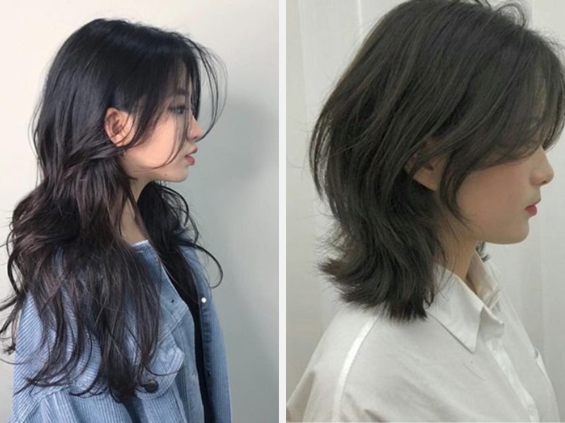 10+ Kiểu Tóc Mullet Layer Wolfcut Đẹp Hot Trend 2024 4 Tóc Wolf Cut dài - Tóc Shaggy Wolf Cut