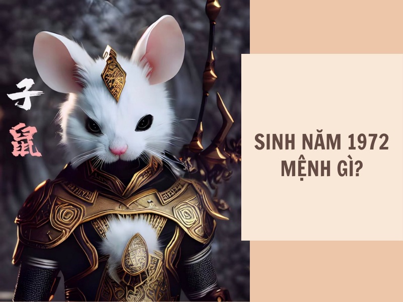 Tuổi Nhâm Tý 1972 Mệnh Gì? Hợp Với Tuổi Gì, Hợp Màu Gì? 1 Nhâm Tý 1972 Mệnh Gì