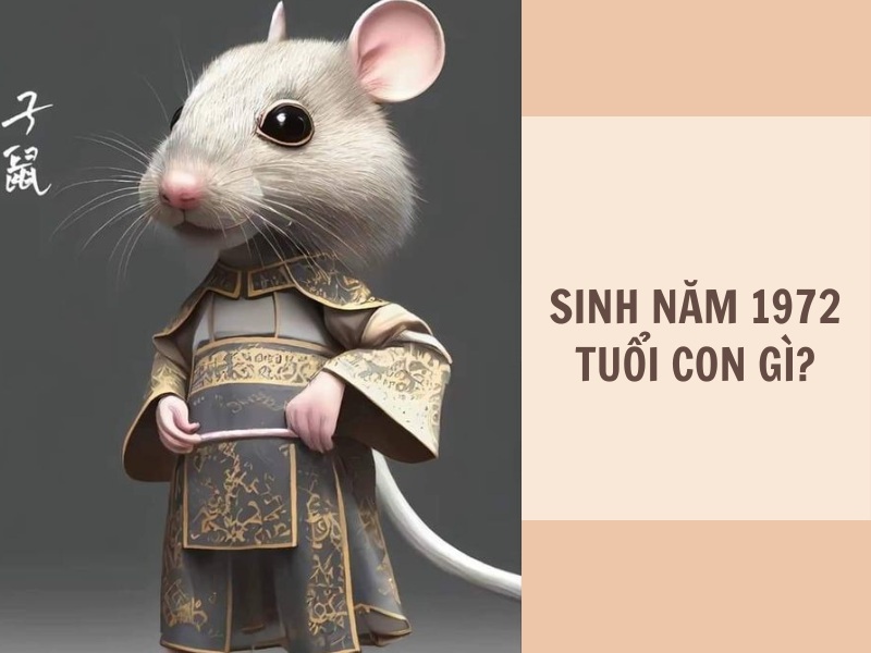 Tuổi Nhâm Tý 1972 Mệnh Gì? Hợp Với Tuổi Gì, Hợp Màu Gì? 3 Sinh năm 1972 tuổi gì?