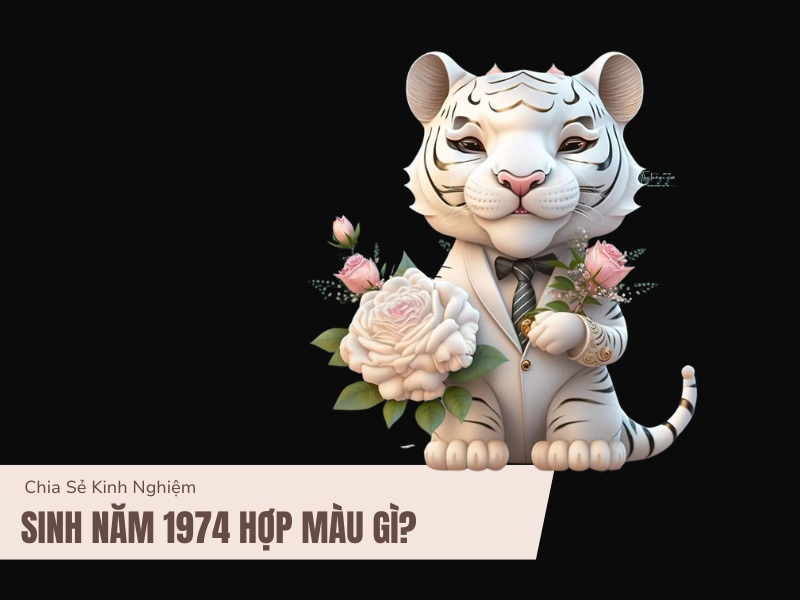 Tuổi Giáp Dần 1974 Mệnh Gì? Hợp Với Tuổi Gì, Hợp Màu Gì? 6 Sinh năm 1974 hợp màu gì?