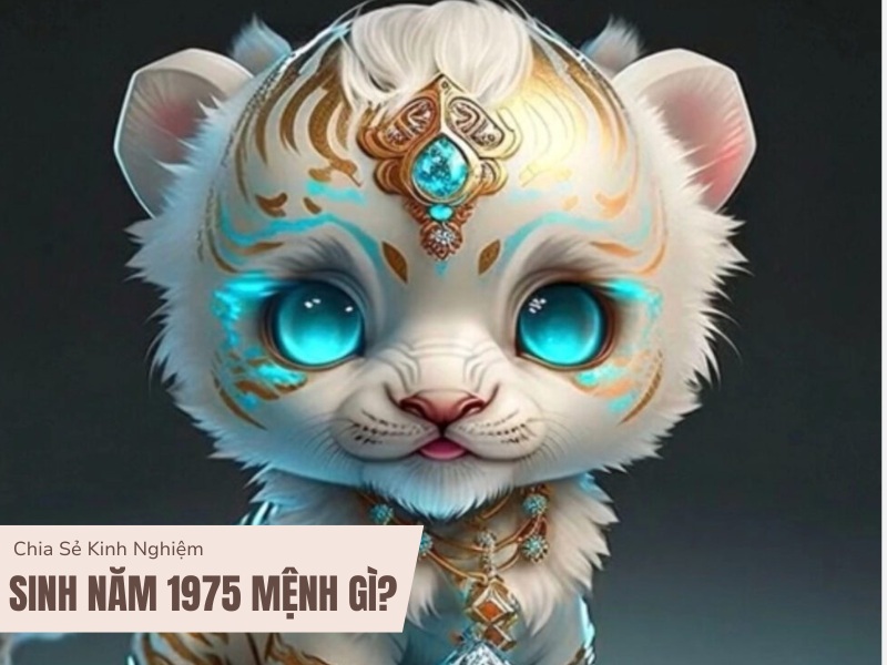 Tuổi Ất Mão 1975 Mệnh Gì? Hợp Với Tuổi Gì, Hợp Màu Gì? 4 1975 mệnh gì