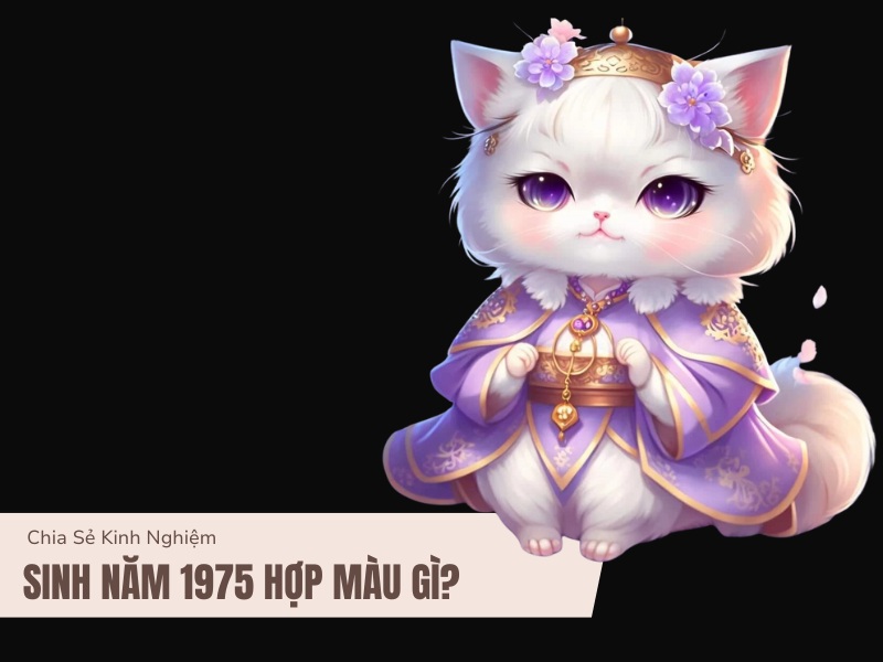 Tuổi Ất Mão 1975 Mệnh Gì? Hợp Với Tuổi Gì, Hợp Màu Gì? 7 Sinh năm 1975 hợp màu gì