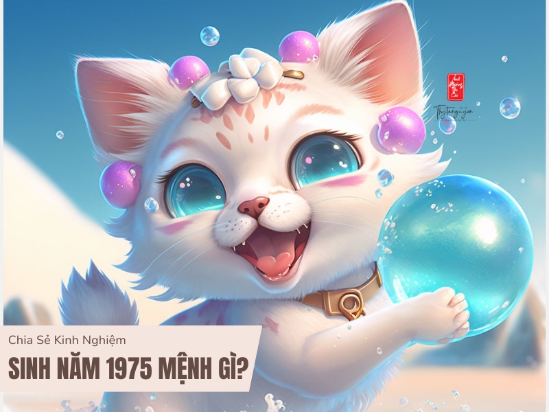 Tuổi Ất Mão 1975 Mệnh Gì? Hợp Với Tuổi Gì, Hợp Màu Gì? 1 Sinh năm 1975 mệnh gì?