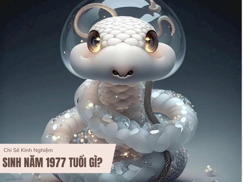 Tuổi Đinh Tỵ 1977 Mệnh Gì? Hợp Với Tuổi Gì, Hợp Màu Gì? 3 Sinh năm 1977 tuổi gì