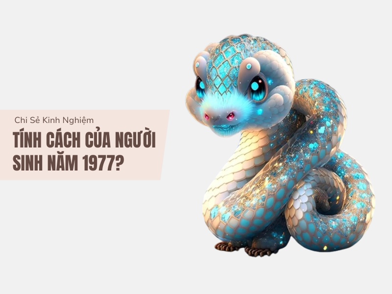 Tuổi Đinh Tỵ 1977 Mệnh Gì? Hợp Với Tuổi Gì, Hợp Màu Gì? 4 Tính cách của người sinh năm 1977