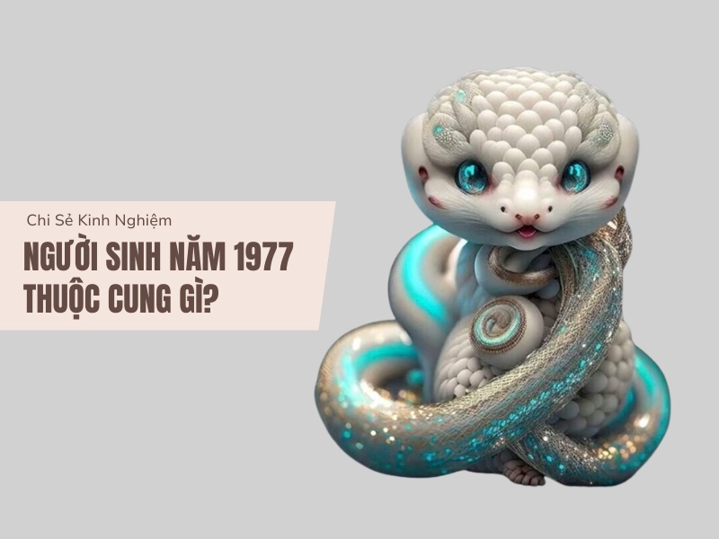 Tuổi Đinh Tỵ 1977 Mệnh Gì? Hợp Với Tuổi Gì, Hợp Màu Gì? 5 Sinh năm 1977 thuộc cung gì