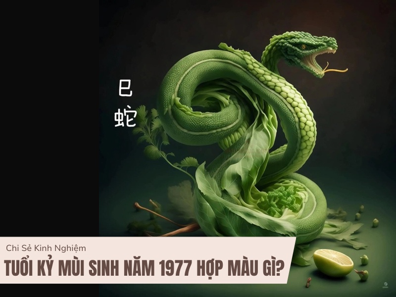 Tuổi Đinh Tỵ 1977 Mệnh Gì? Hợp Với Tuổi Gì, Hợp Màu Gì? 6 Đinh Tỵ sinh năm 1977 hợp màu gì