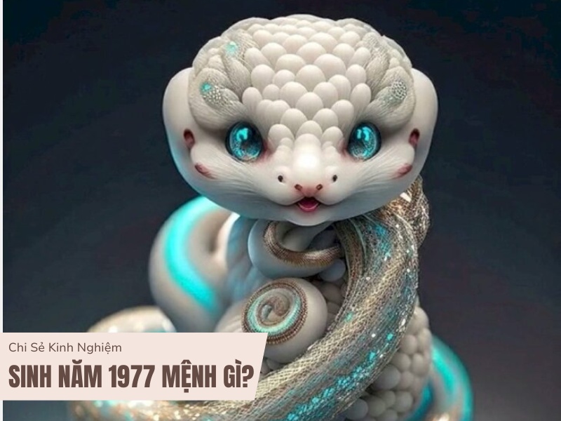 Tuổi Đinh Tỵ 1977 Mệnh Gì? Hợp Với Tuổi Gì, Hợp Màu Gì? 1 Sinh năm 1977 mệnh gì?
