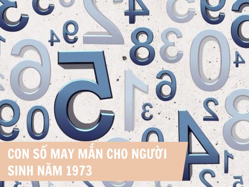 Tuổi Quý Sửu 1973 Mệnh Gì? Hợp Với Tuổi Gì, Hợp Màu Gì? 7 Con số phù hợp với người sinh năm 1973