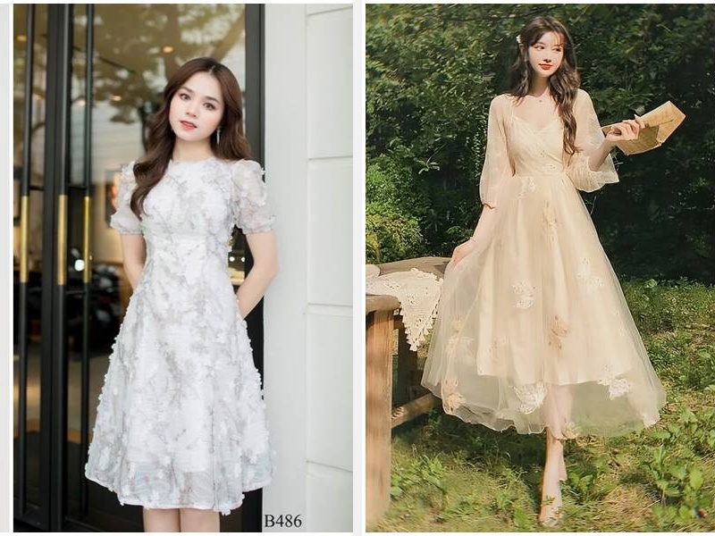 10+ Kiểu Đầm Dự Tiệc Phù Hợp Với Dáng Người & Sự Kiện 5 Đầm dáng suông - Đầm dáng công chúa
