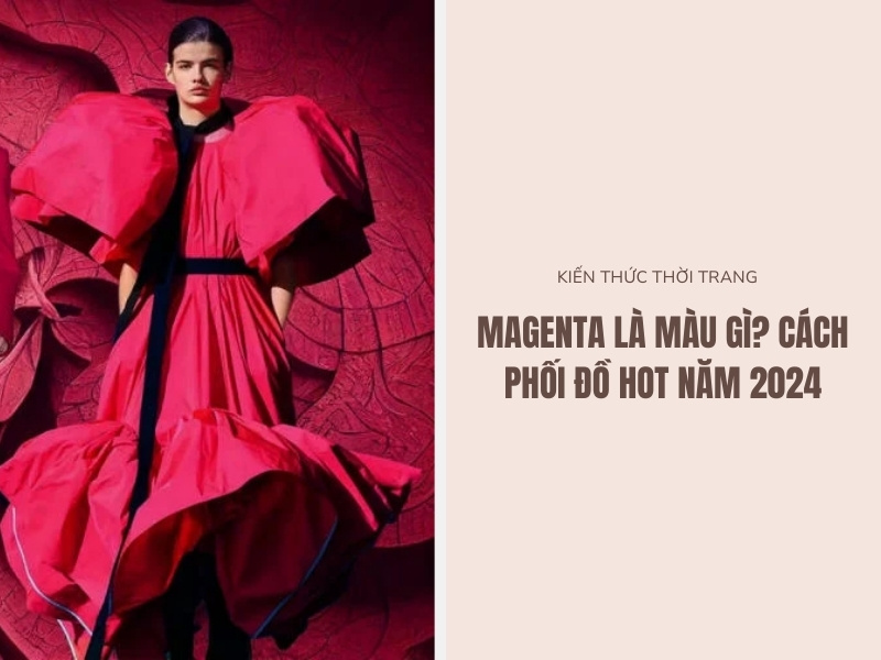 Magenta Là Màu Gì? Cách Phối Đồ Hot Năm 2024 1 Màu megenta là màu gì?