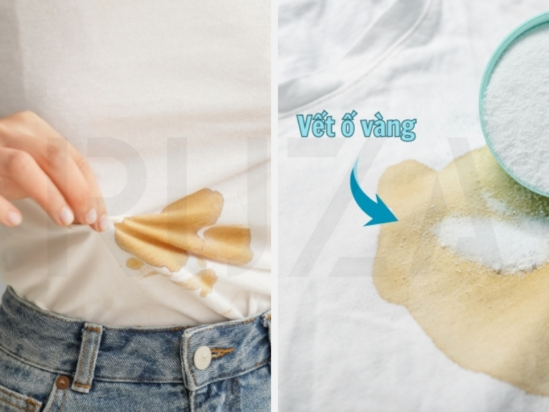 Bảo quản quản áo thun trắng