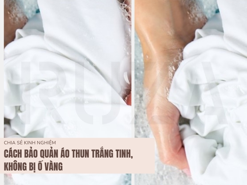 Cách Bảo Quản Áo Thun Trắng Tinh, Không Bị Ố Vàng 1 Cách bảo quản áo sơ mi trắng