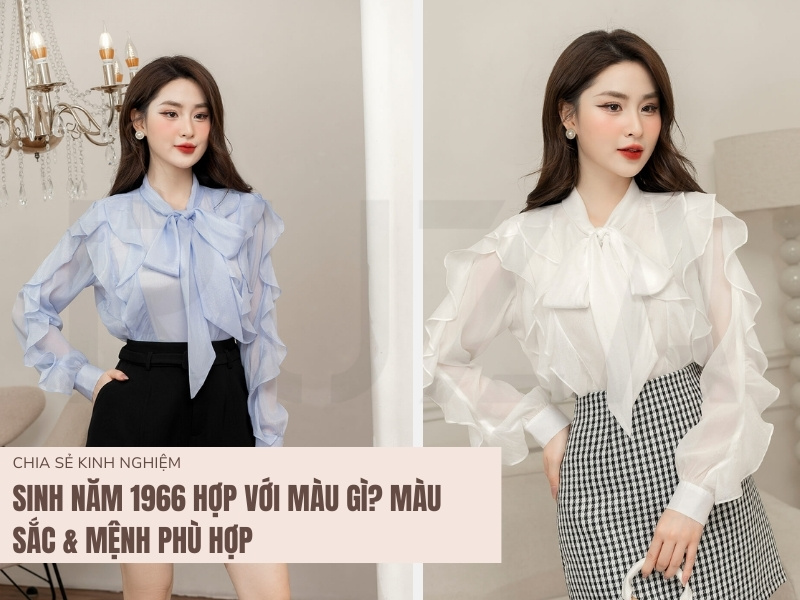 Sinh Năm 1966 Hợp Với Màu Gì? Màu Sắc & Mệnh Phù Hợp 1 Sinh năm 1966 hợp với màu gì?