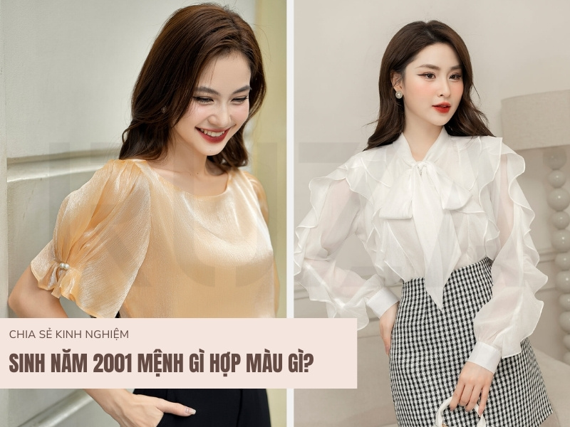 Sinh Năm 2001 Hợp Màu Gì? Màu Sắc Đem Lại May Mắn 2024 1 Sinh năm 2001 mệnh gì hợp màu gì?